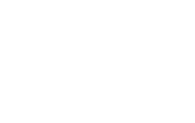 Main Logo